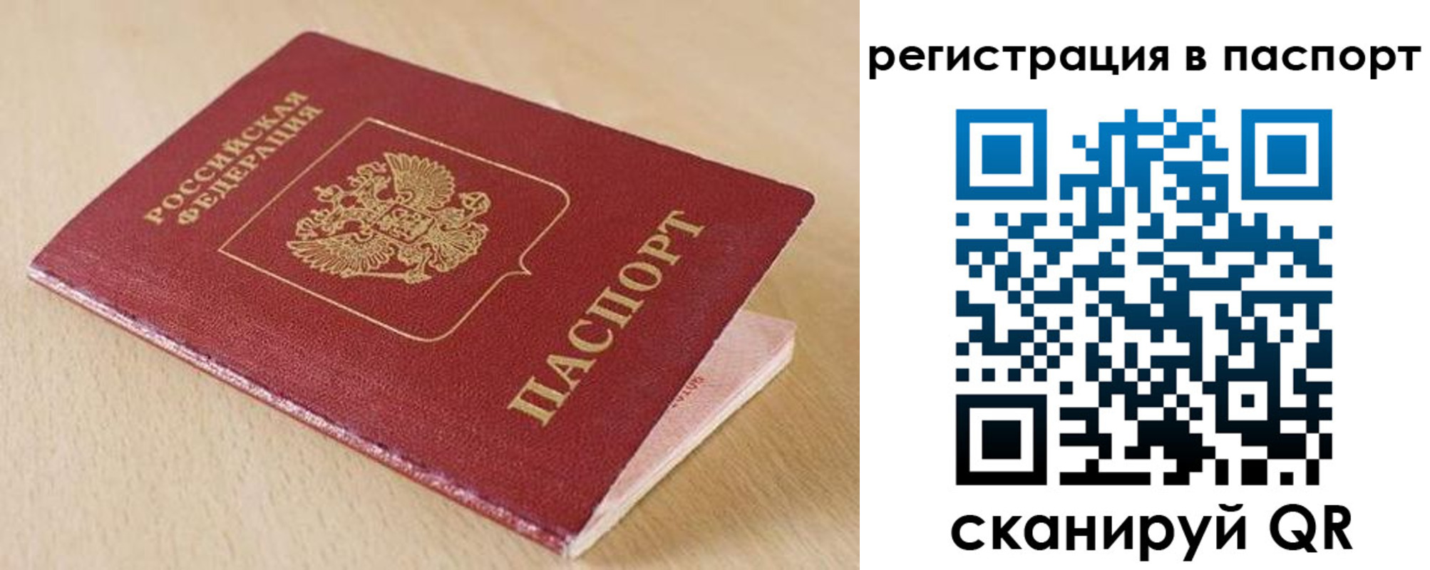 прописка поиск в Михайлове