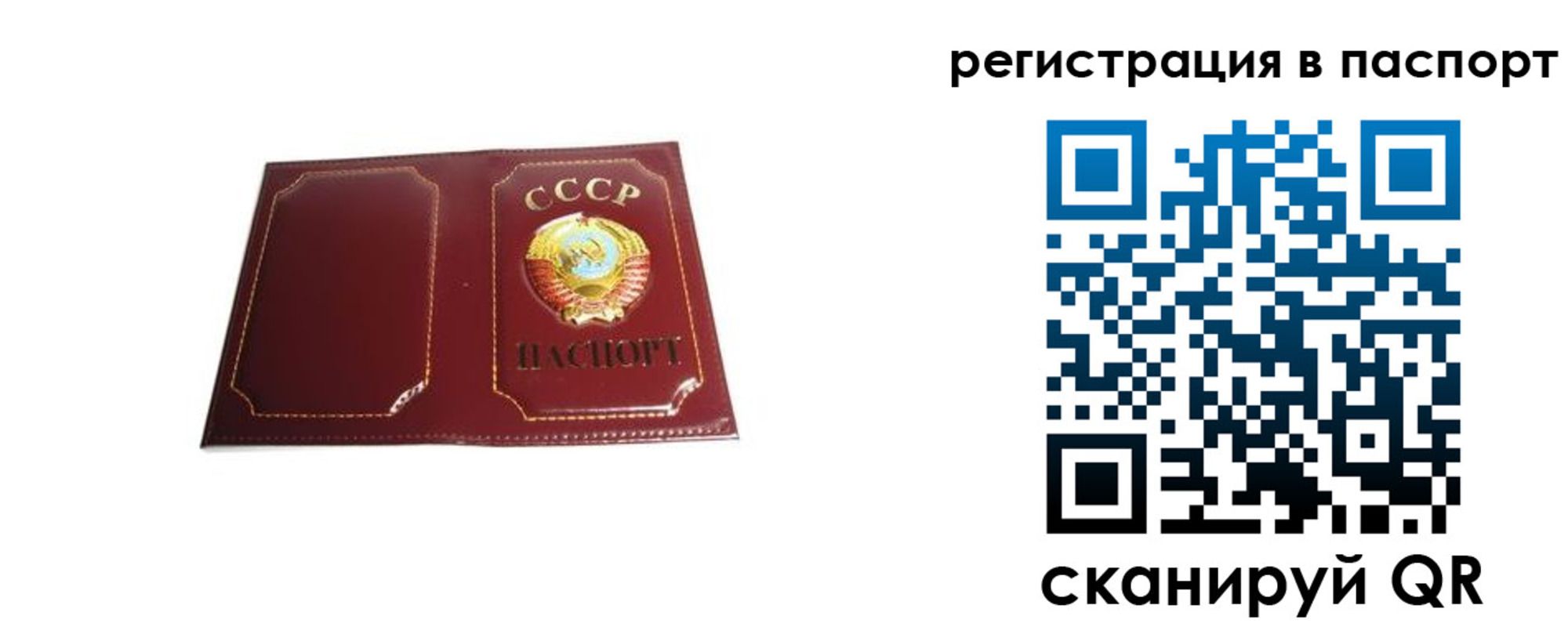 прописка 2025 в Михайлове